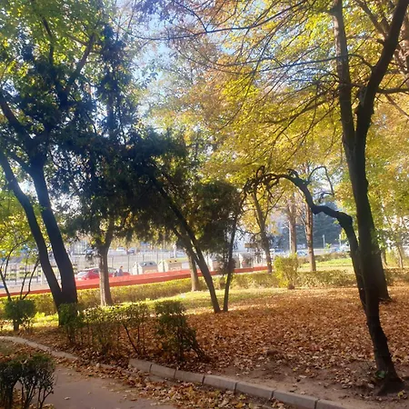 Apartment Choice Hram Centar *